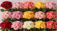 top rose bouquets for 2026