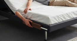 12 Best High End Adjustable Bed Frame in 2026
