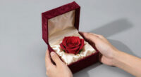 12 Best High End Preserved Rose Gift Box in 2026