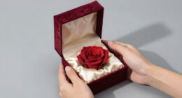 12 Best High End Preserved Rose Gift Box in 2026