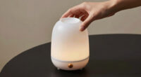 12 Best Premium Aromatherapy Diffuser in 2026