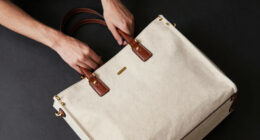 12 Best Premium Tote Bag for Travel in 2026