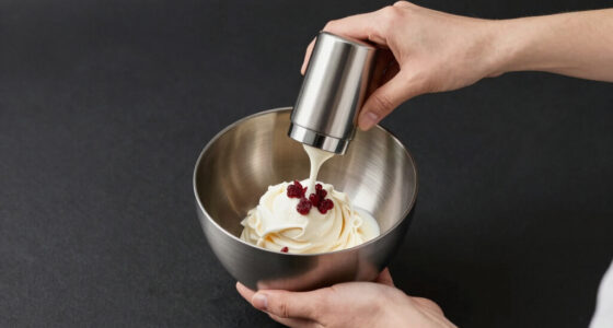 13 Best Luxury Ice Cream Maker in 2026