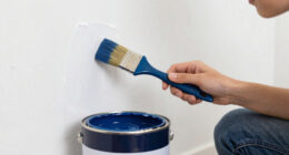 14 Best Luxury Paint Set Professional in 2026