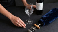 15 Best Premium Wine Night Accessories in 2026
