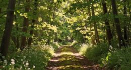 enhance walk with romance
