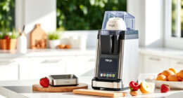 Summer Care Tips for Your Ninja CREAMi Deluxe Ice Cream Maker
