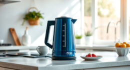 Summer Care Tips for Your Ninja KT200BL Precision Temperature Electric Kettle