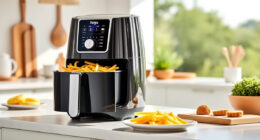 Summer Care & Troubleshooting for the Ninja Air Fryer 4 Qt